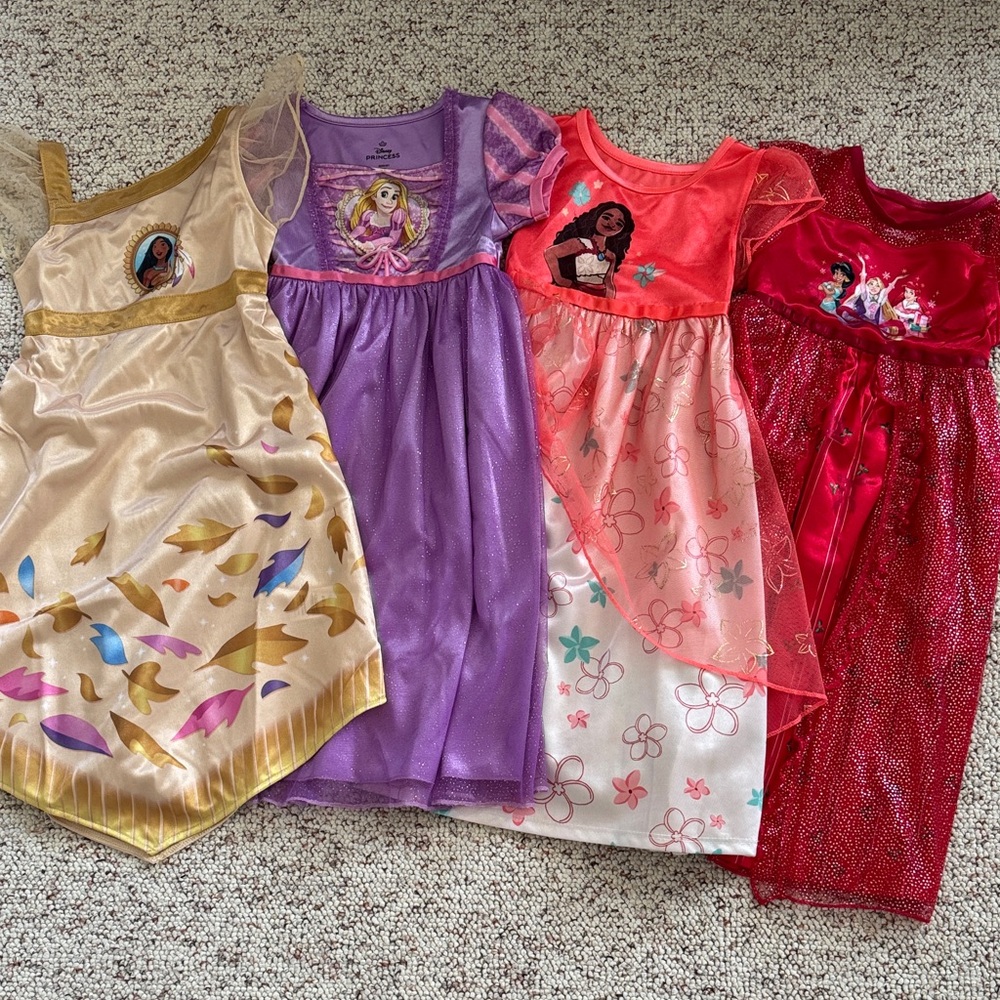 Disney Princess Dress Collection